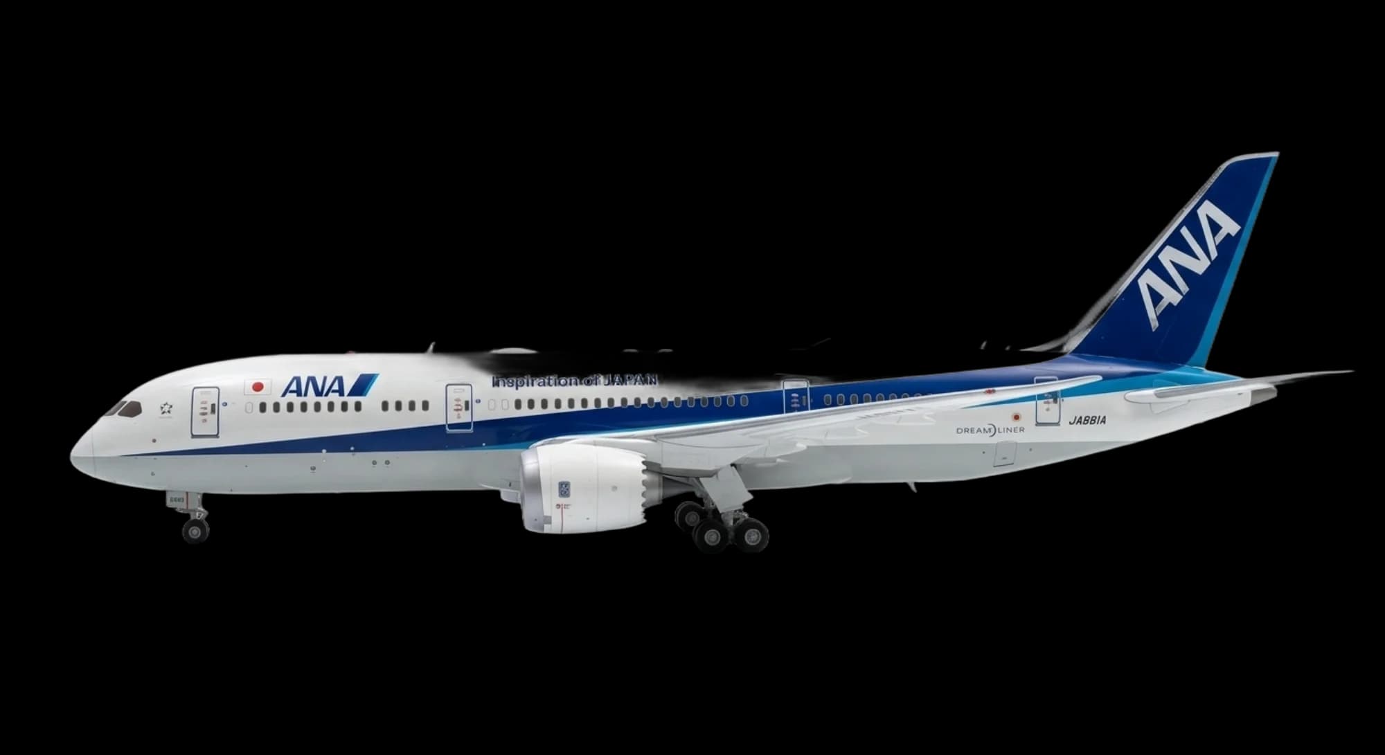 Boeing Boeing 787 Dreamliner 2009 - Profile view