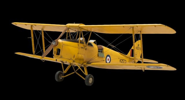 Tiger Moth