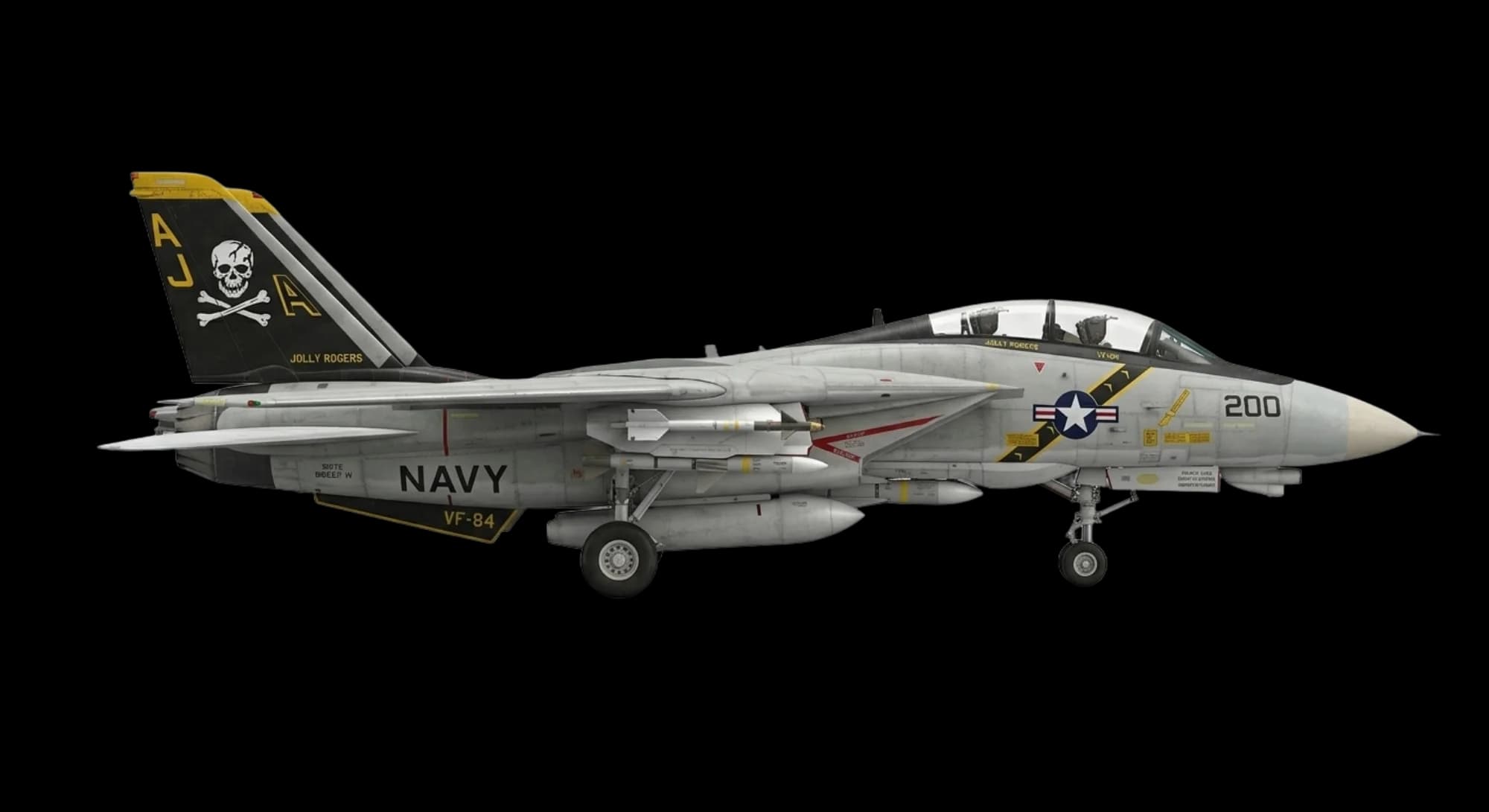 Grumman F-14 Tomcat 1970 - Profile view